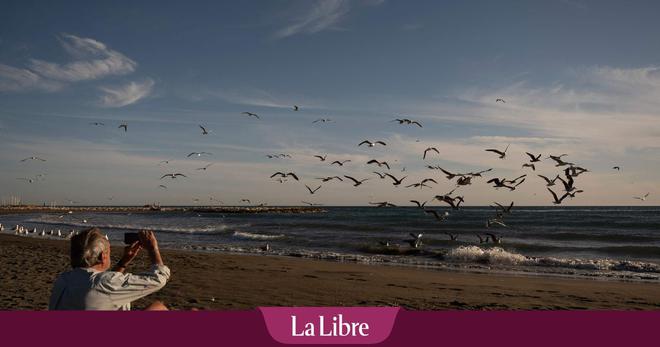 29,9 degrés à Malaga: nouveau record de chaleur pour un mois de décembre en Espagne