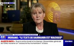 Rejet du projet de loi immigration: "Gérald Darmanin n'a pas proposé à l'Assemblée nationale un texte à la hauteur des enjeux", pour Nadine Morano (députée européenne LR)