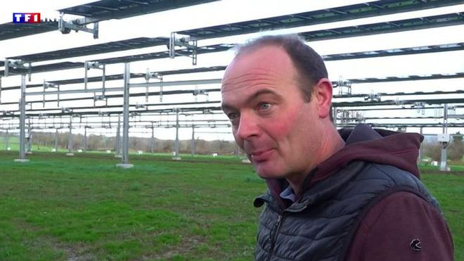 VIDÉO - Cet agriculteur normand va faire pâturer ses vaches sous 5.000 panneaux solaires