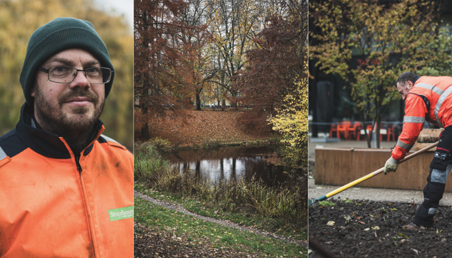 Nature en ville : rencontre avec ceux qui se démènent pour rendre Strasbourg plus verte