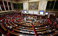 Projet de loi « immigration » : Marine Le Pen revendique une « victoire idéologique »