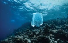 Plaidoyer pour l’océan : de la science vers le politique