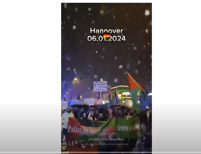 Allemagne : sous les flocons de neige, la belle et longue procession en faveur de la Palestine