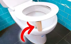 Papier toilette : ne quittez plus votre maison sans mettre votre rouleau comme ça