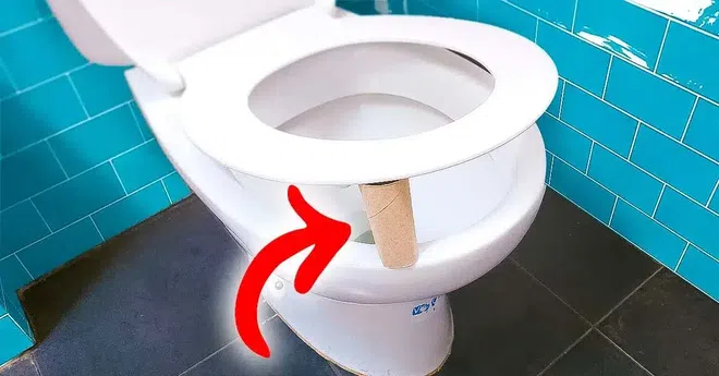 Papier toilette : ne quittez plus votre maison sans mettre votre rouleau comme ça