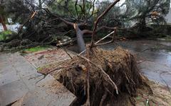 Une «tempête majeure» s’abat sur la Californie, au moins 3 morts