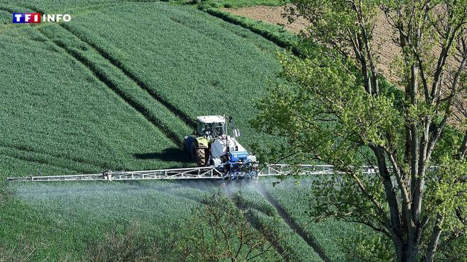 Pesticides : la France pourrait changer sa manière de les mesurer et voici comment