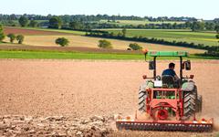 Anne de Guigné: «Protectionnisme agricole, la France en a déjà soupé»