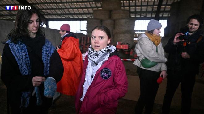 VIDÉO - "Stop A69" : Greta Thunberg aux côtés des opposants au projet autoroutier dans le Tarn