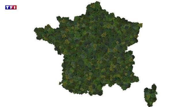 Changement climatique : faut-il croire au nouveau plan d'adaptation de la France ?