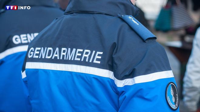 "Disparition inquiétante" de Lucie dans la Meuse : l'adolescente de 16 ans retrouvée "en bonne santé"