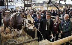 «Nous n'avons pas vu un chat» : au Salon de l’agriculture, des éleveurs auraient préféré qu’Emmanuel Macron abrège sa visite