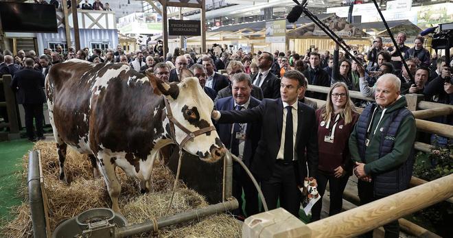 «Nous n'avons pas vu un chat» : au Salon de l’agriculture, des éleveurs auraient préféré qu’Emmanuel Macron abrège sa visite