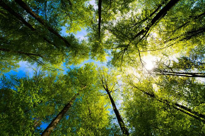 [2/2] Pacte vert : agriculture, biodiversité et déchets, quel bilan pour l’Union européenne depuis cinq ans ?