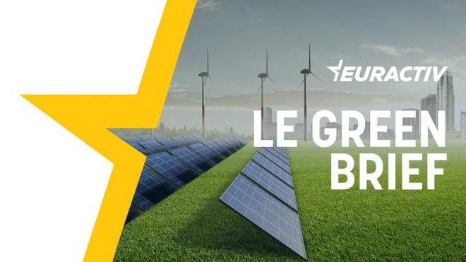 Le Green brief : éviter l’impasse des réseaux électriques