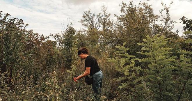 Les forêts comestibles, un modèle pour demain ?