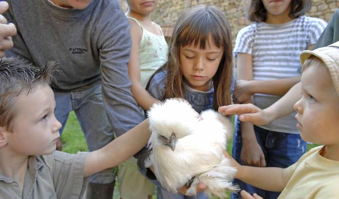 L’âge d’abattage de 10 animaux vs leur espérance de vie