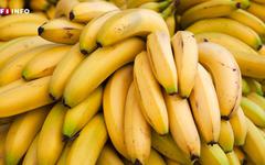 Alsace : près de 250 kg de cocaïne découverts cachés dans des cartons de bananes