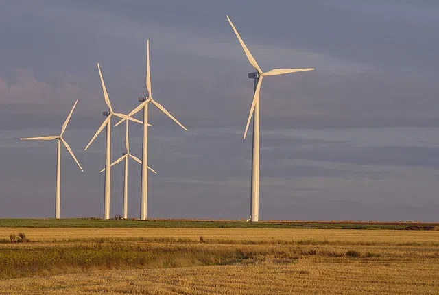 Le solaire et l’éolien sont contre-productifs pour l’économie et l’environnement