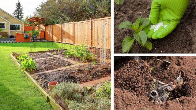 5 erreurs que vous commettez dans votre jardin (et comment les réparer)