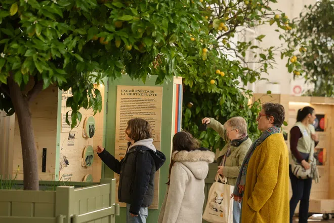 Ce samedi, le Neudorf met à l’honneur l’écologie, l’art et le sport lors d’une journée festive