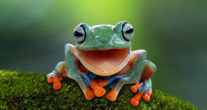 Victoire écologique : l’Europe lance un plan ambitieux pour la biodiversité