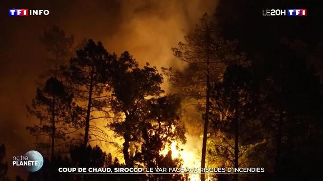 Coup de chaud, sirocco : le Var face aux risques d’incendies