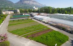 La Ville de Grenoble installe un « espace biodiversité à vocation pédagogique » au sein de son centre horticole