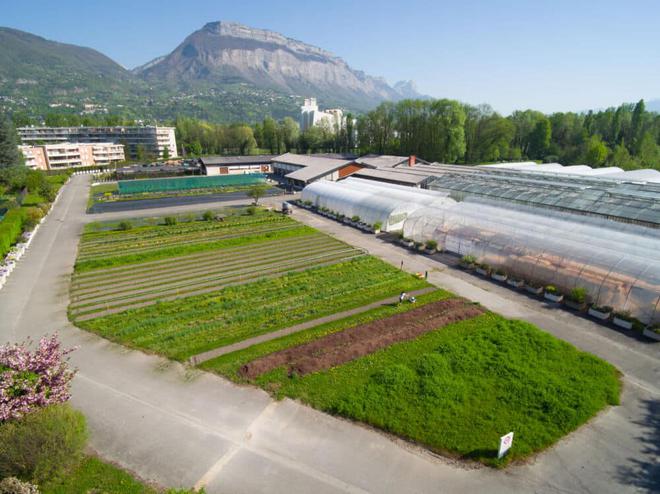 La Ville de Grenoble installe un « espace biodiversité à vocation pédagogique » au sein de son centre horticole