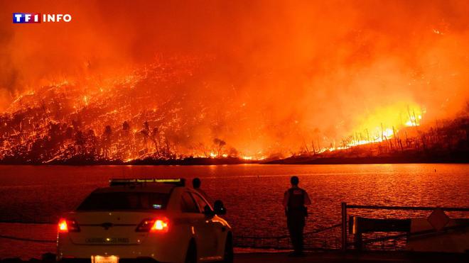 Sibérie, Californie, Amazonie… Nouvelle alerte sur les méga-feux à travers le monde