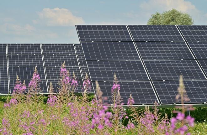 Électricité solaire : c’est déjà trop !