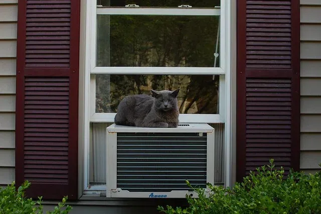 Chaleur estivale : le prix de la climatisation a chuté de 97 % depuis 1952