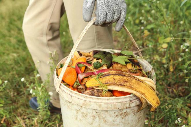 « Tout sauf écologique », pourquoi ne faut-il pas jeter ses pelures de fruits et de légumes dans la nature ?