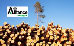 Alliance Forêts Bois fait-il du Greenwashing ?