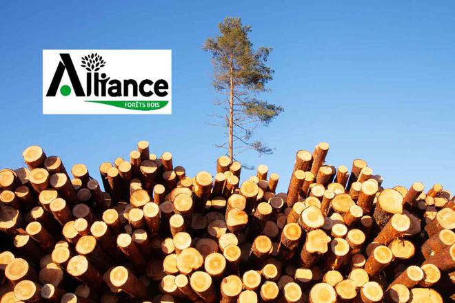 Alliance Forêts Bois fait-il du Greenwashing ?