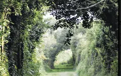 Bernard Rio nous entraîne à travers les Chemins creux de Bretagne