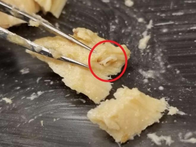 Des boîtes de saumon périmées depuis des décennies révèlent une surprise inattendue
