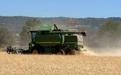 La France céréalière sonnée face à une moisson de blé « catastrophique »