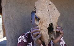 Les Protecteurs de la Faune au Zimbabwe