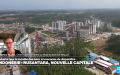 L'Indonésie transfère sa capitale Djakarta sur l'île de Bornéo