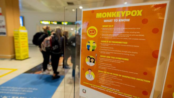 L’Europe doit « se préparer » en vue d’une hausse des cas de variole du singe