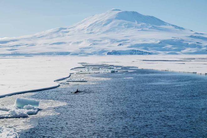 La découverte de mystérieuses et gigantesques structures sous la banquise de l’Antarctique