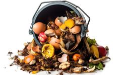 Compost: un bénéfice pour l’environnement, les plantes et notre santé