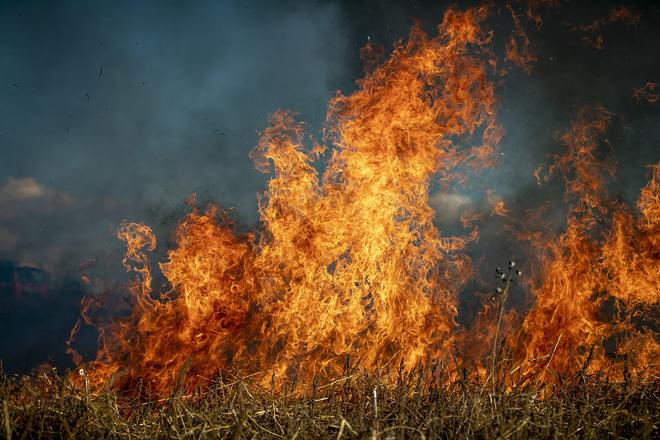 Brésil : les flammes aux portes de São Paulo