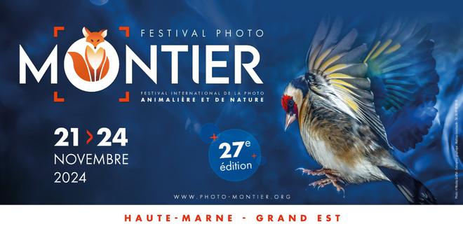 27e édition du Festival Photo Montier : la biodiversité française et l’eau à l’honneur