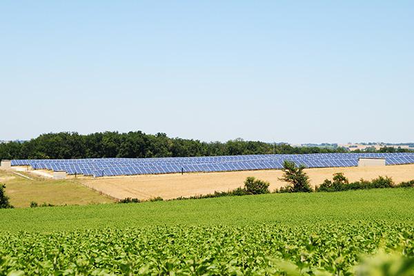 Alerte sur les risques d'extension débridée des centrales solaires