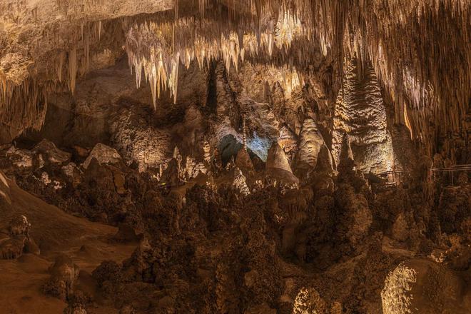 Comment un paquet de chips a bouleversé tout l'écosystème d'une grotte protégée