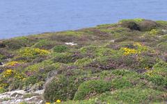 Les plus beaux espaces naturels de France : le Parc naturel régional d’Armorique