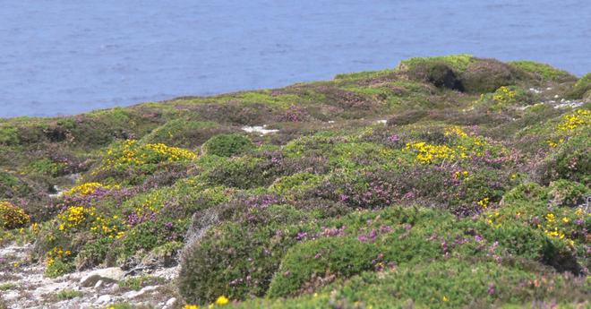 Les plus beaux espaces naturels de France : le Parc naturel régional d’Armorique