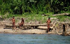 Amazonie : la tribu Mascho Pire cernée par la déforestation